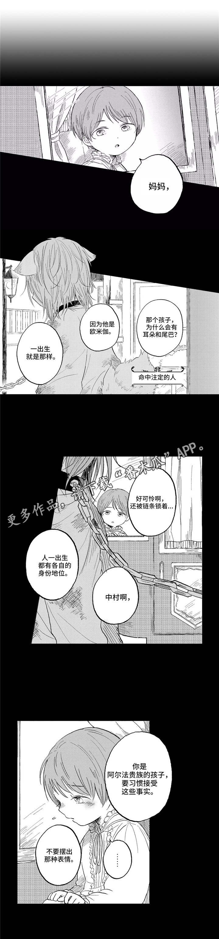 第21章：家族