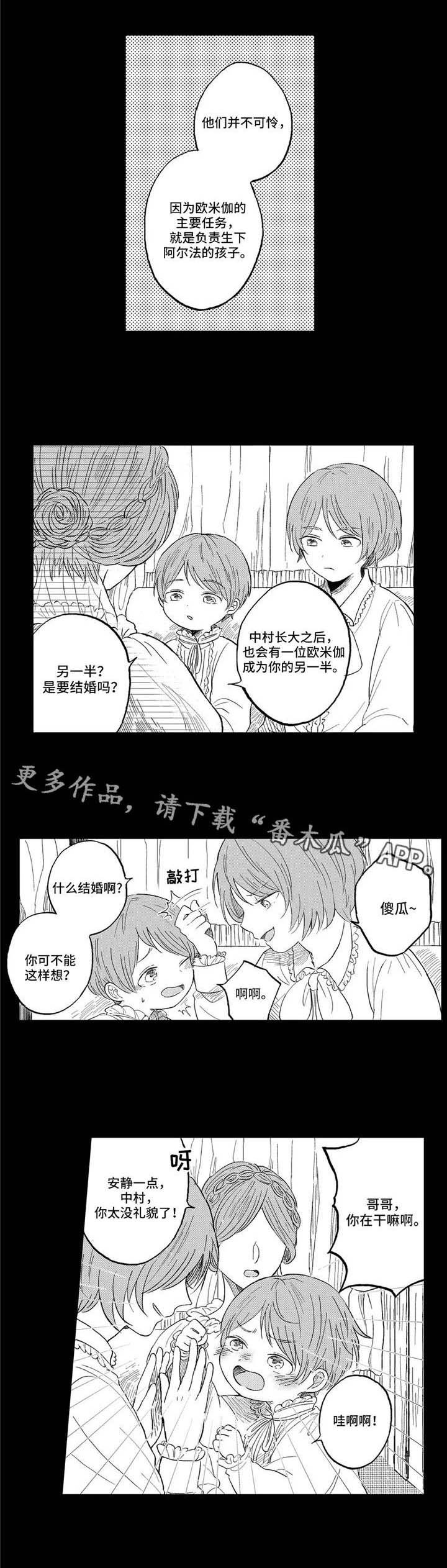 第21章：家族