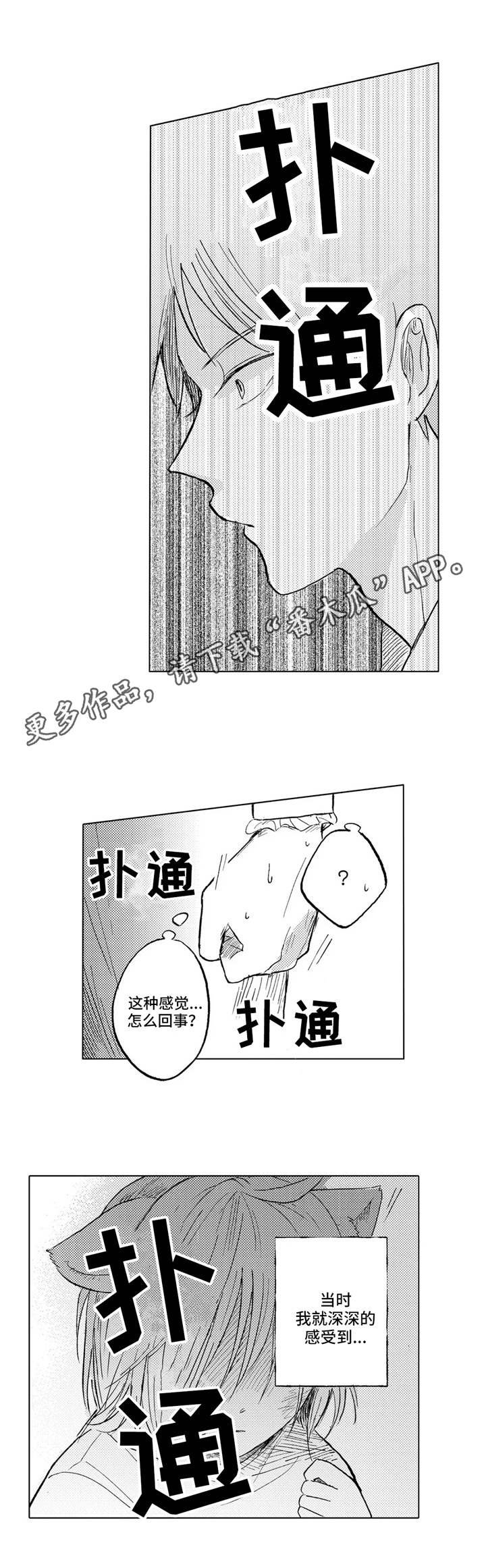 第21章：家族