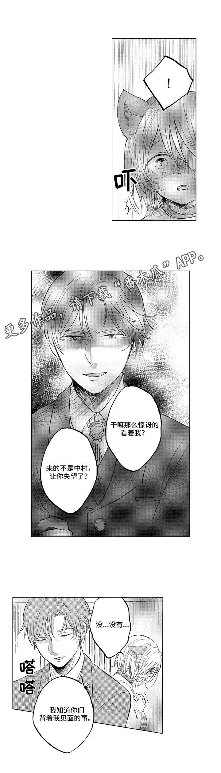 第23章：手段
