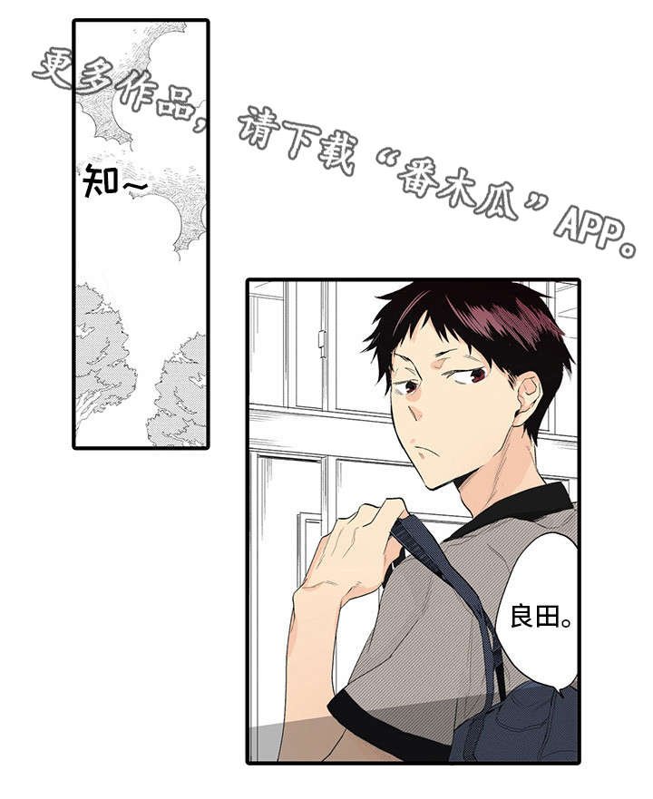 第13章：令人陶醉