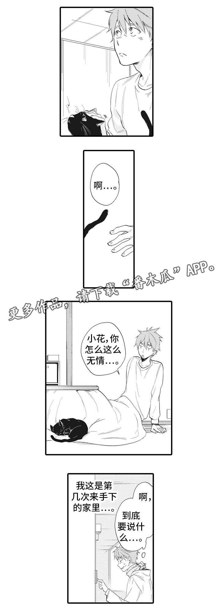 第19章：准备好了