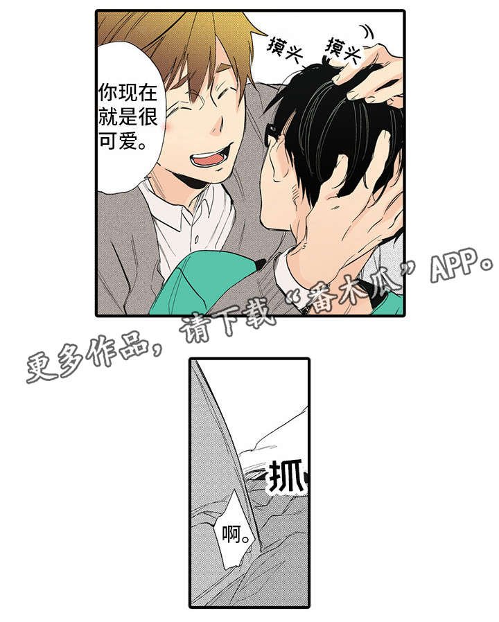 第20章：合适
