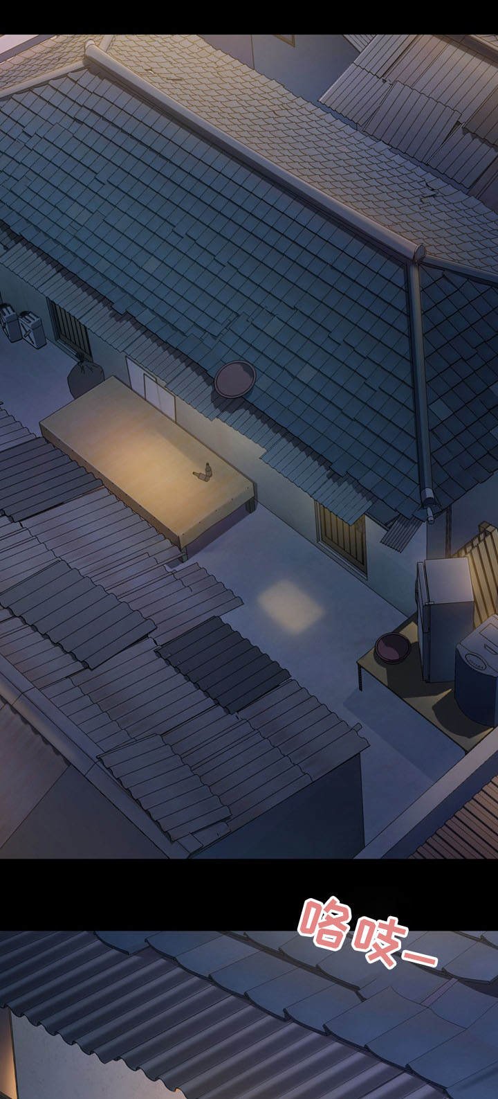 第16章：占有