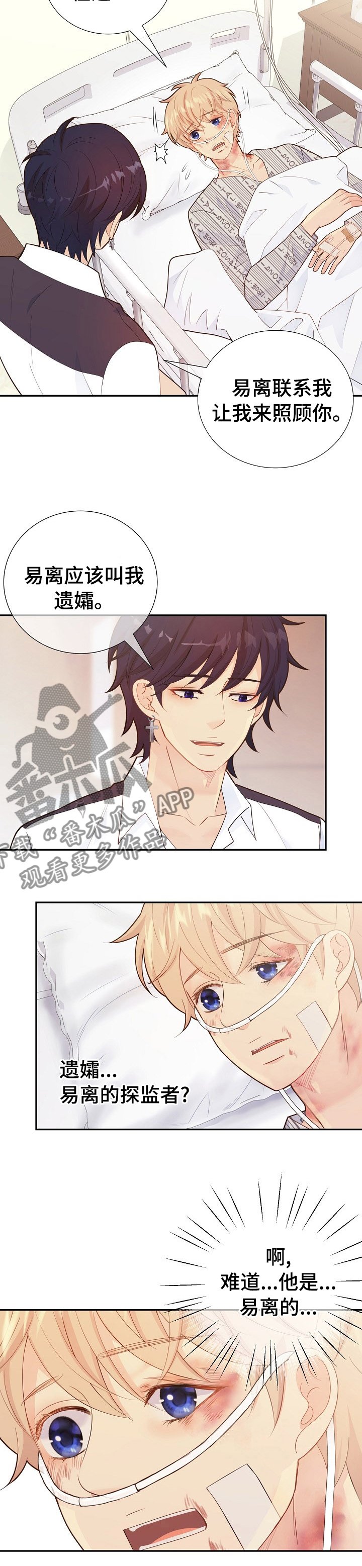 第113章：遗孀