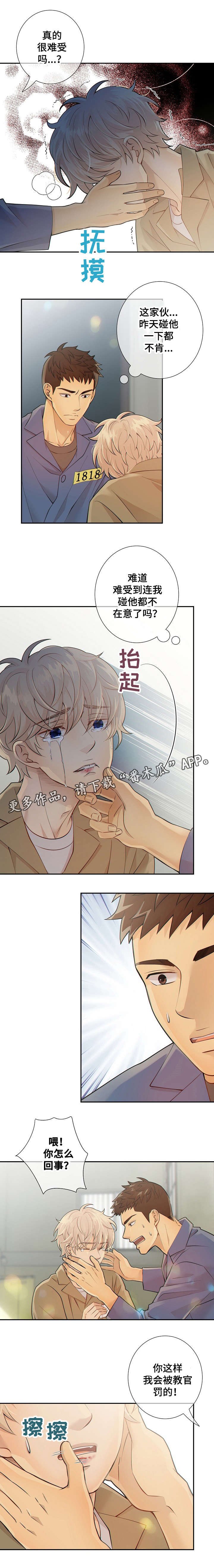 第25章：货色
