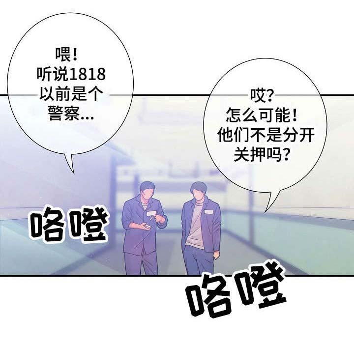 第29章：不合常理