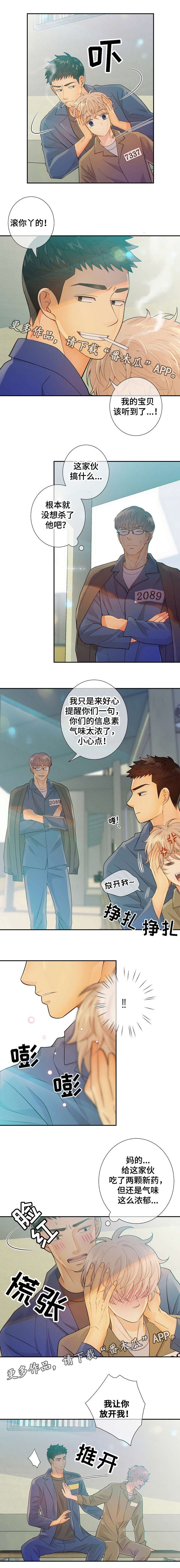 第30章：小鸡仔