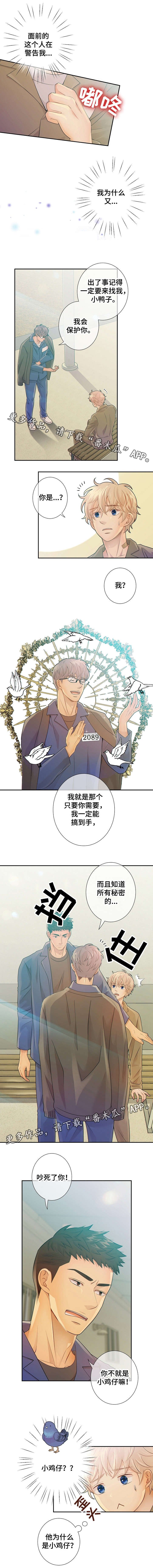 第30章：小鸡仔