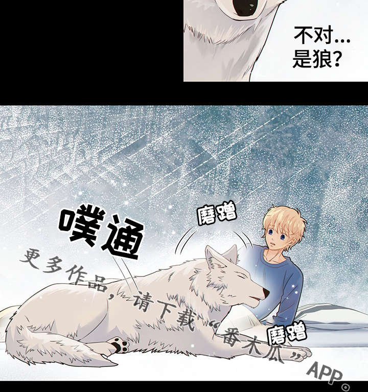 第40章：梦话