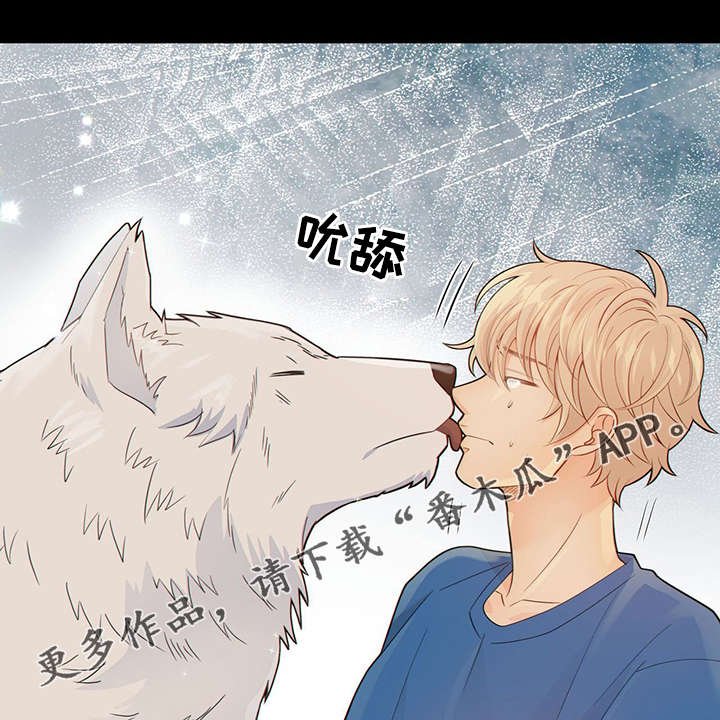 第40章：梦话