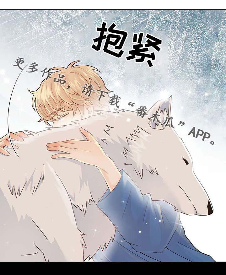 第40章：梦话