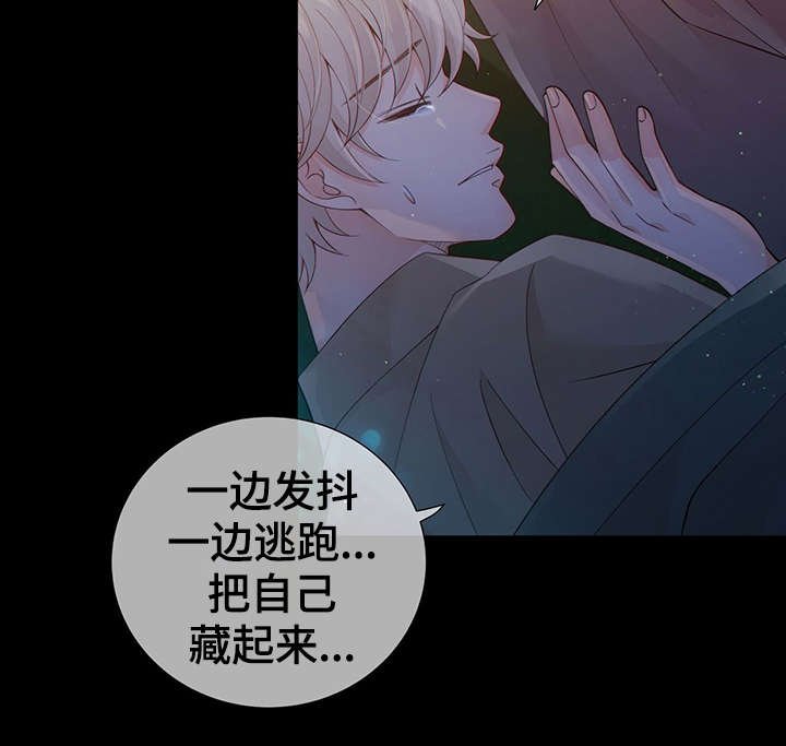 第41章：反正都要死