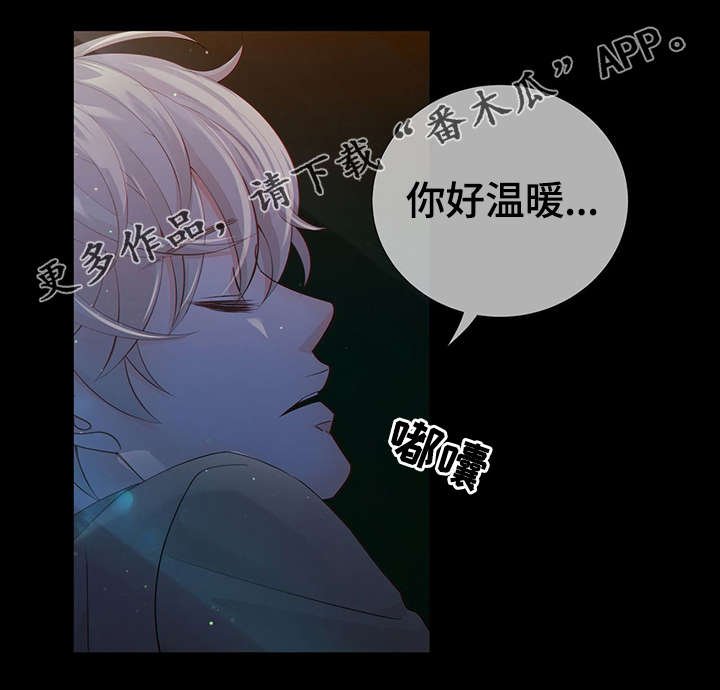 第41章：反正都要死