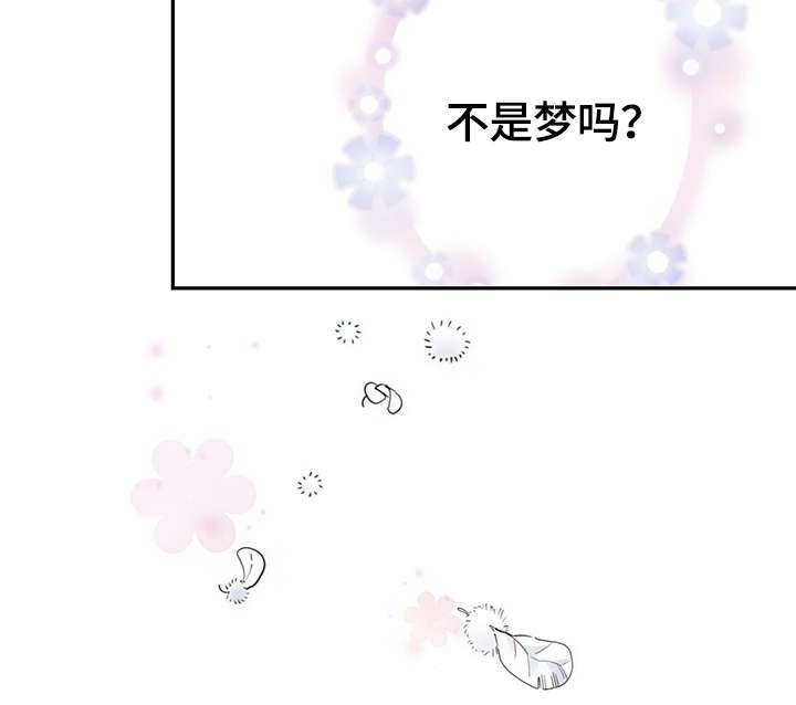 第42章：正确的判断