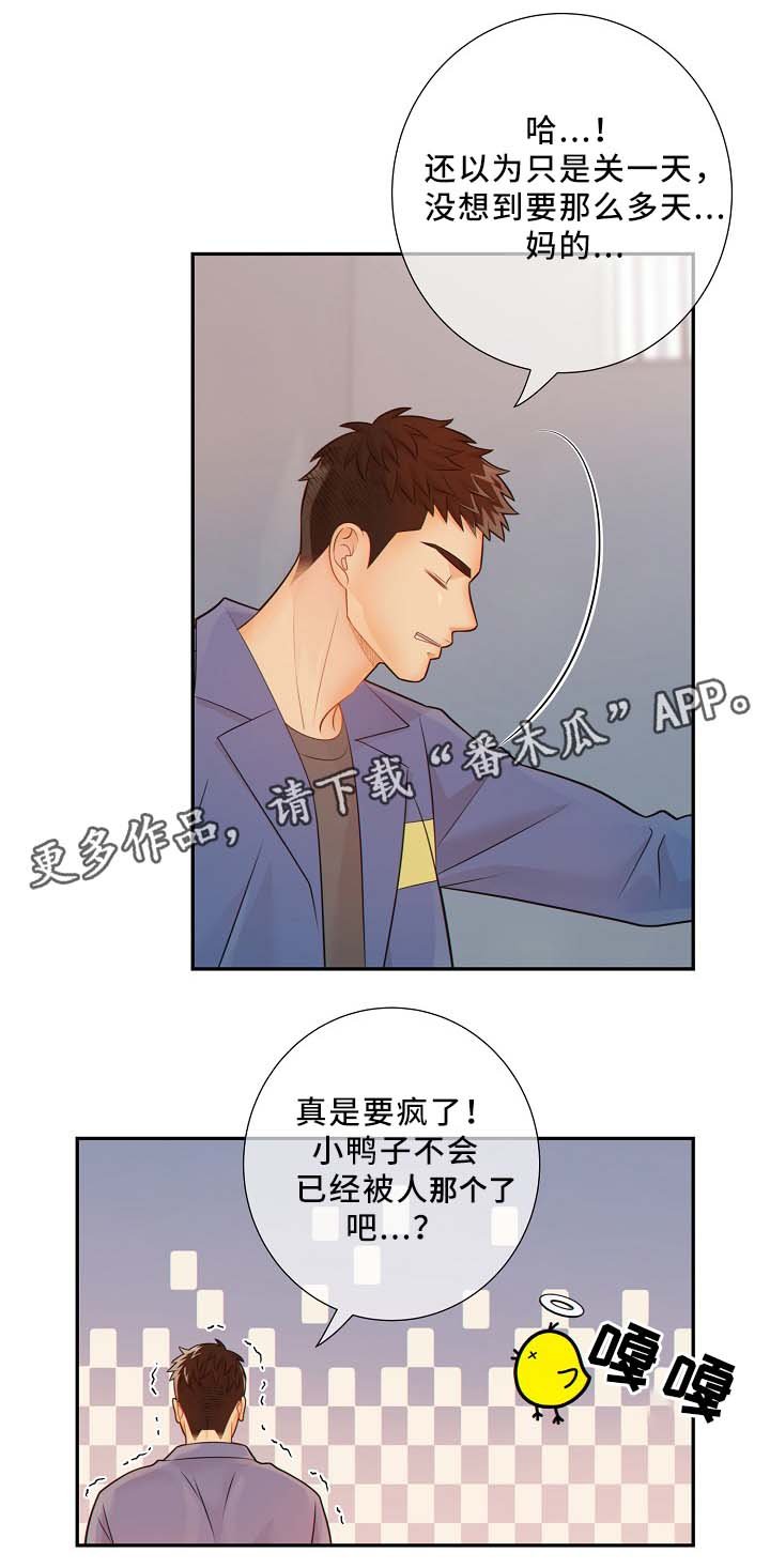 第50章：释放