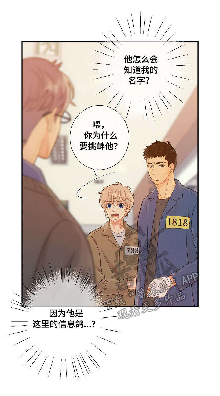 第54章：挑衅