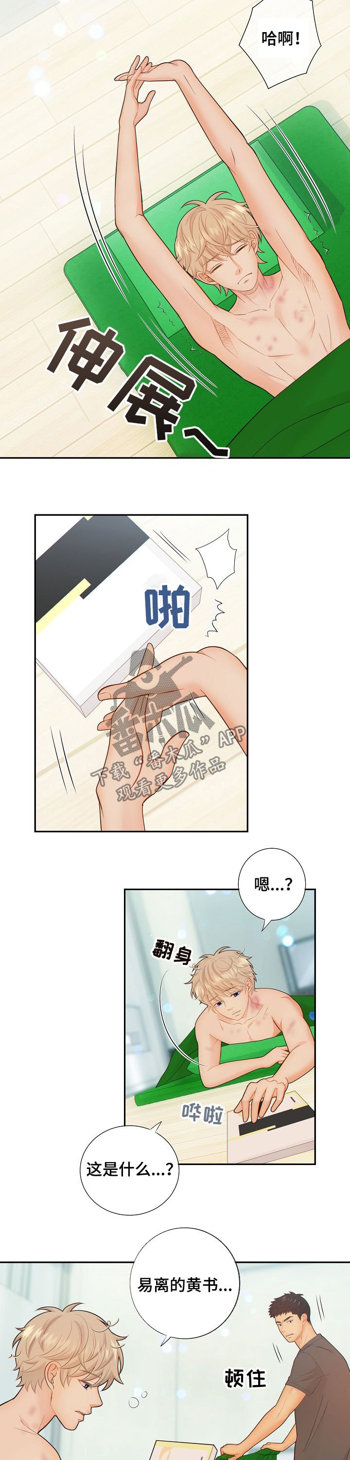 第57章：怀孕