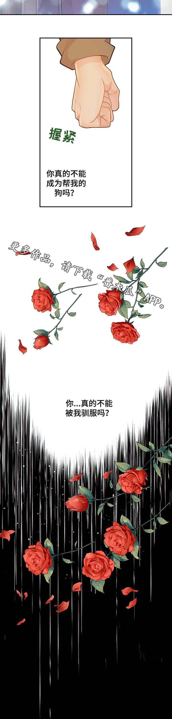 第66章：黑暗