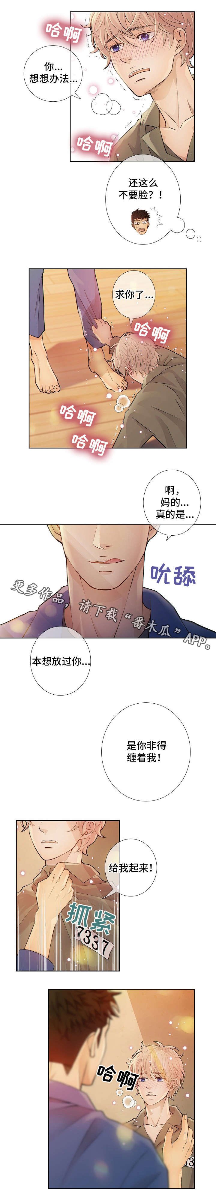 第7章：好东西