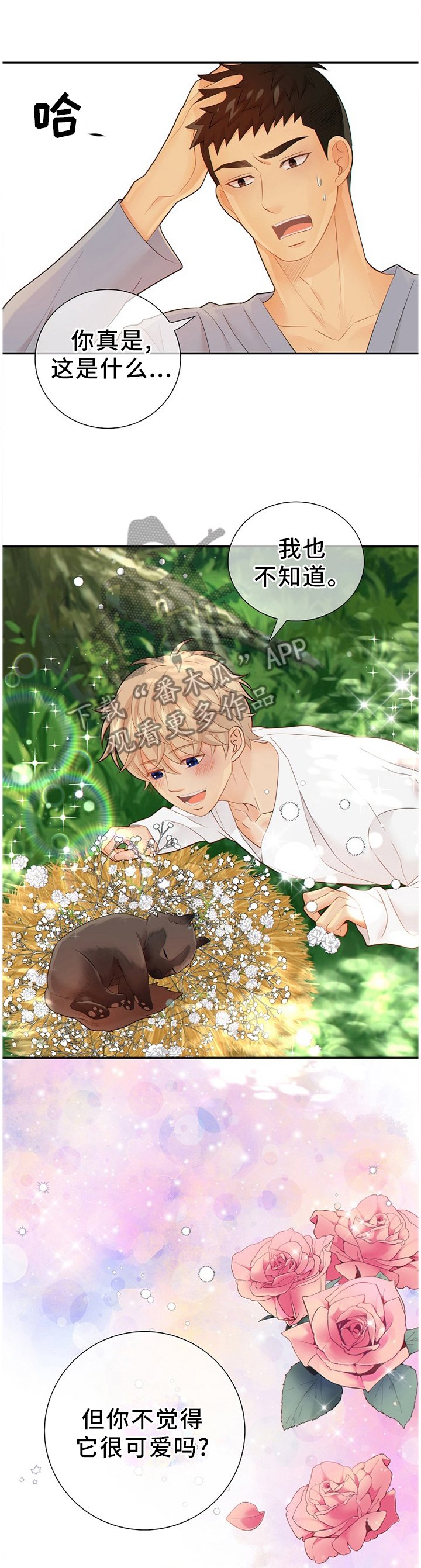 第88章：温暖的梦境