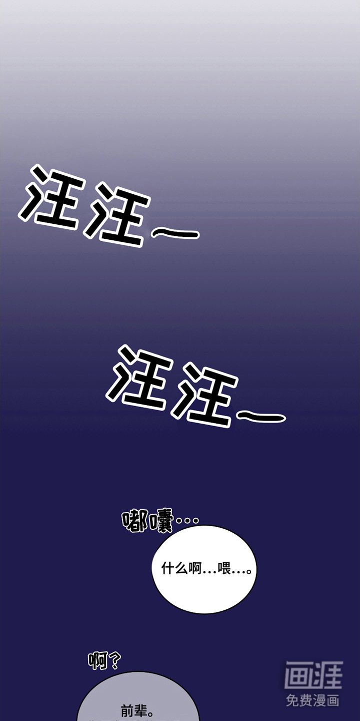 第11章：极限