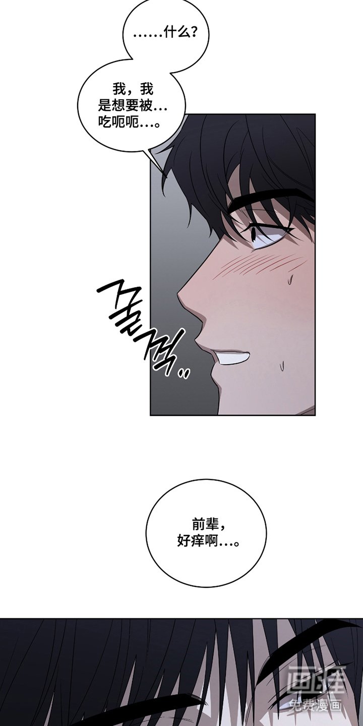 第13章：进食