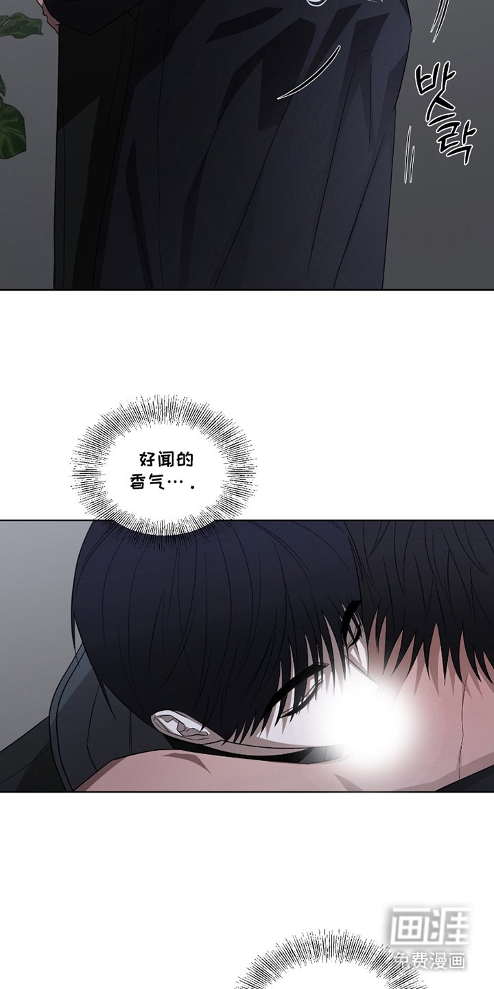 第13章：进食