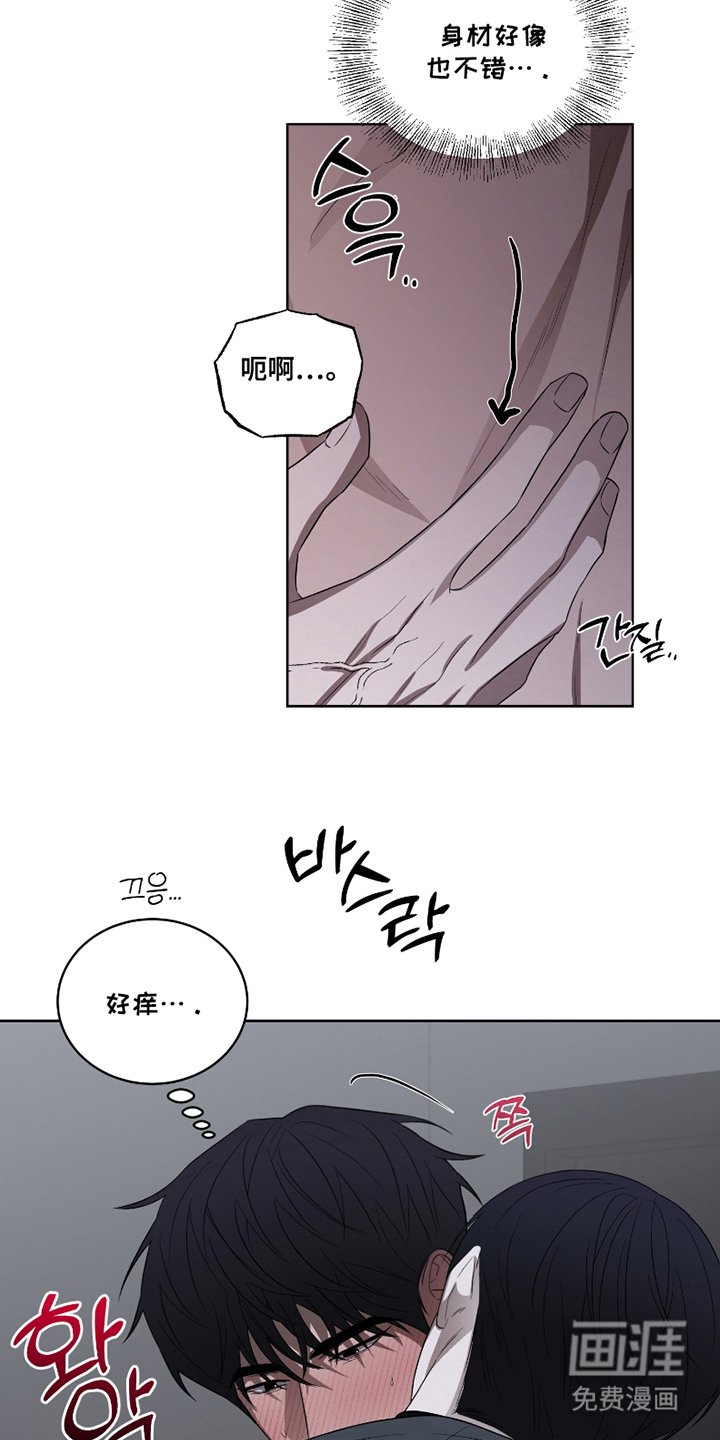 第13章：进食