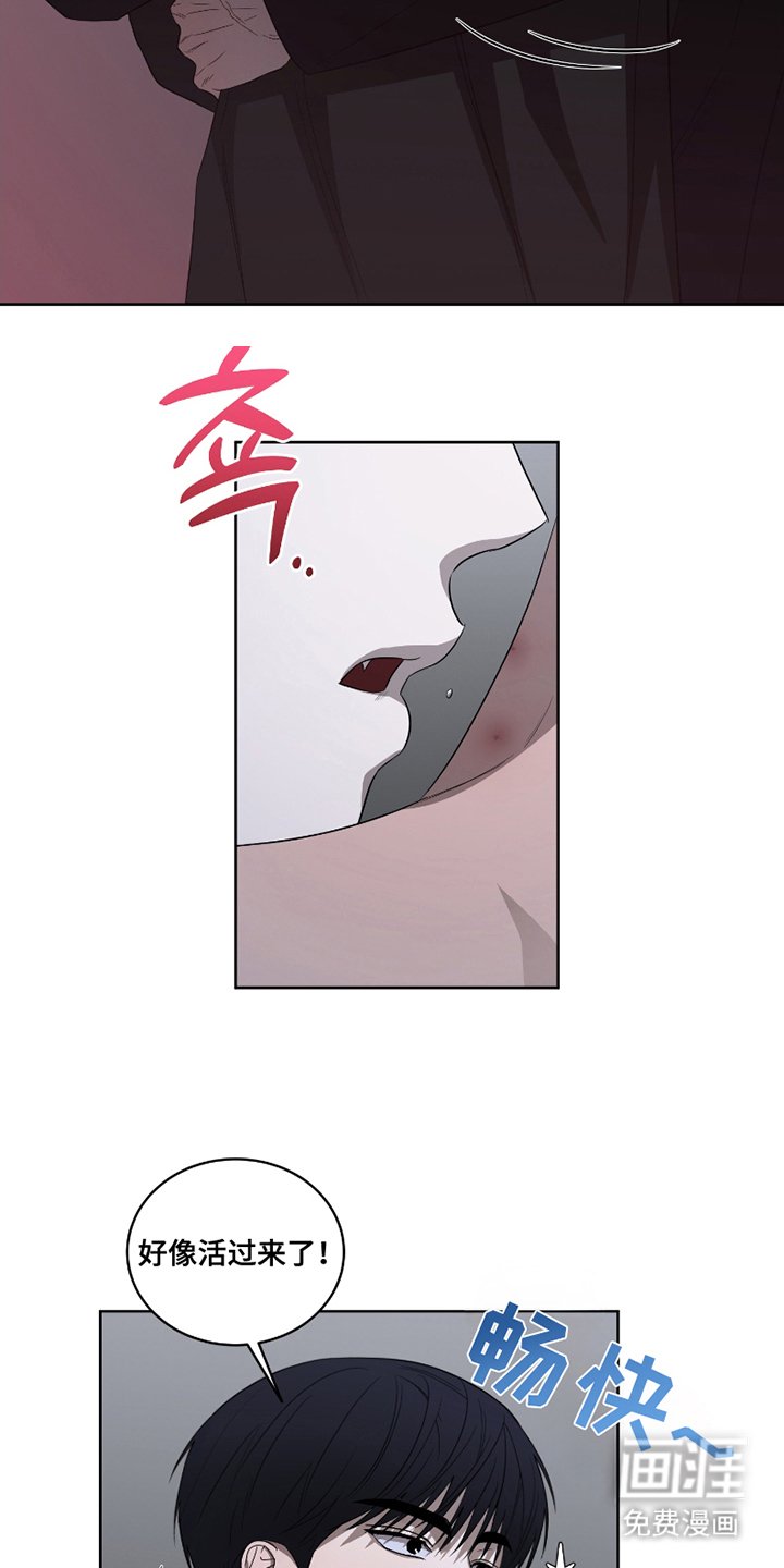 第13章：进食