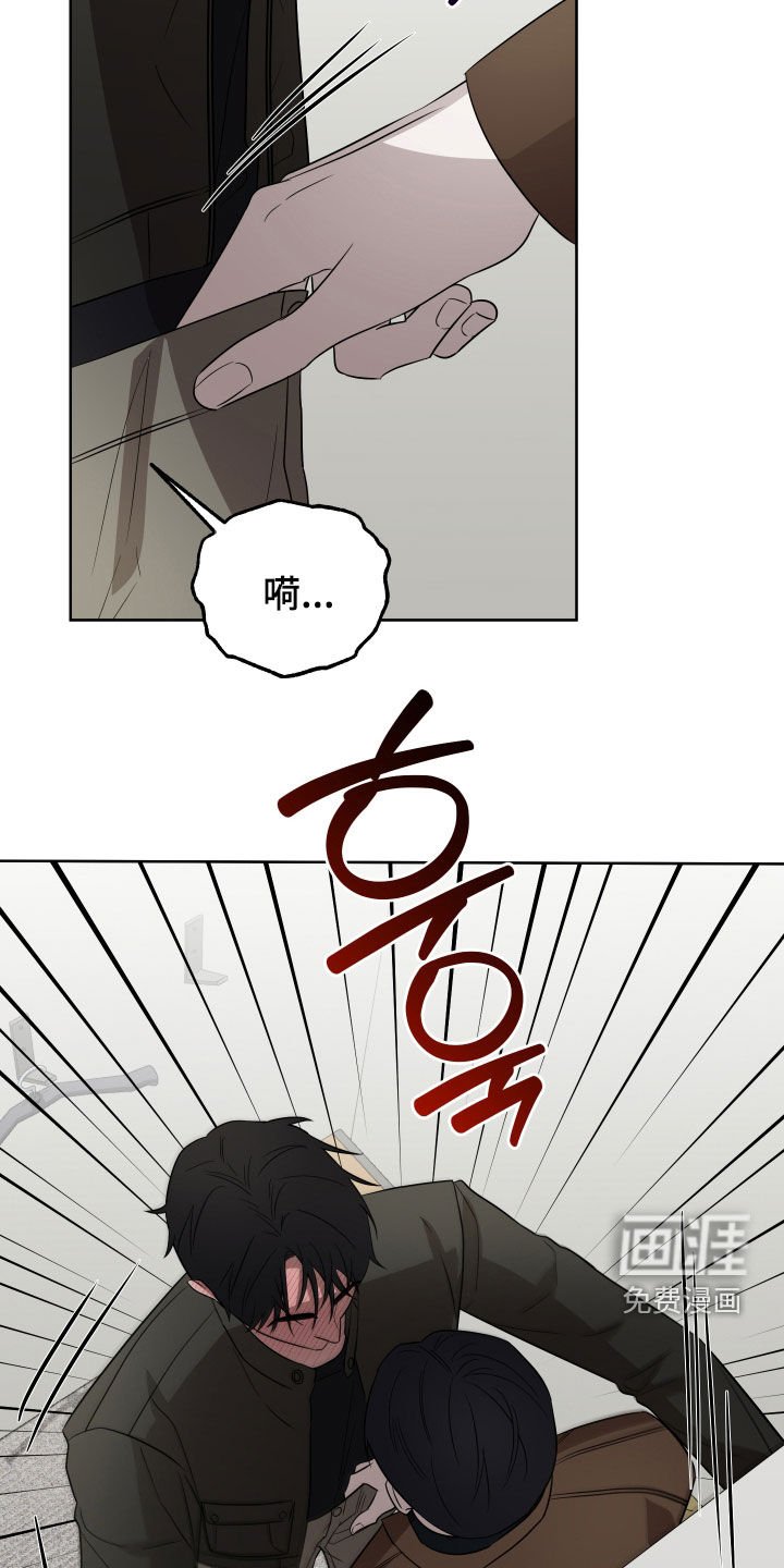 第39章：林子大了
