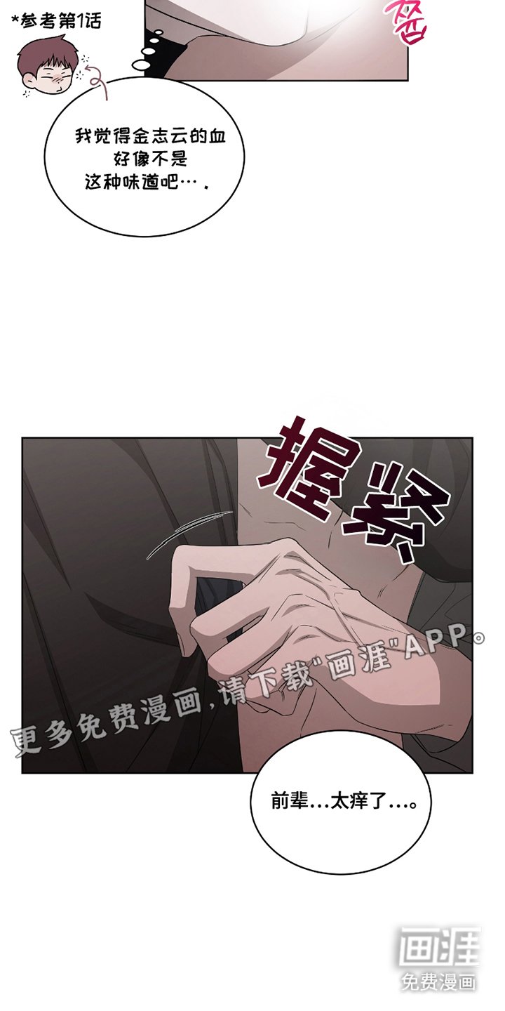 第4章：一次机会