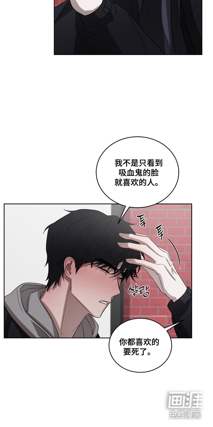 第8章：最大的问题