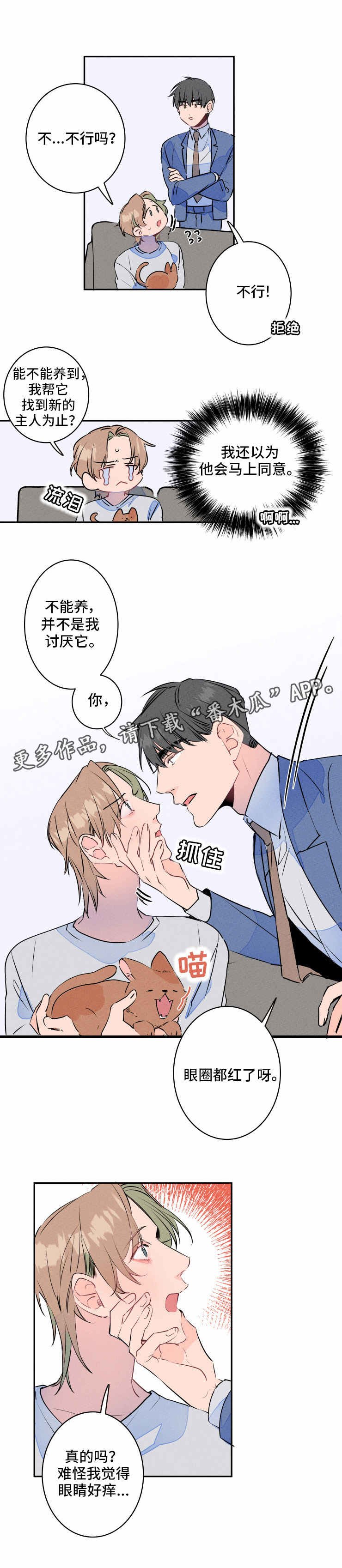 第13章：过敏