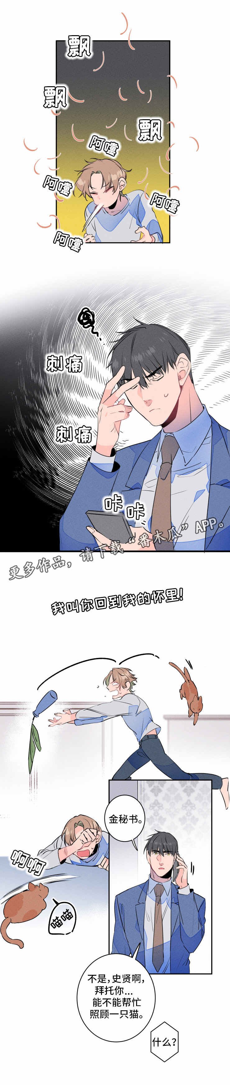 第14章：声音