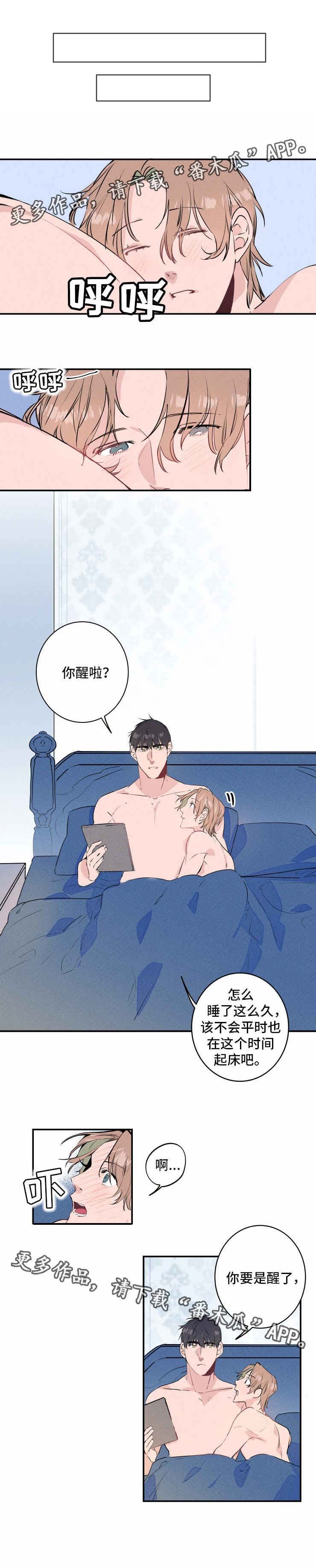 第14章：声音