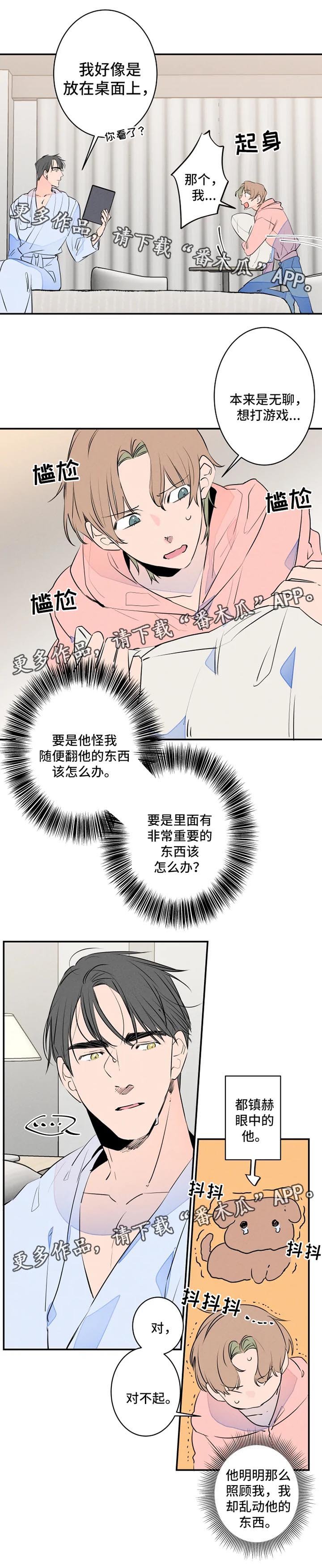 第35章：照片