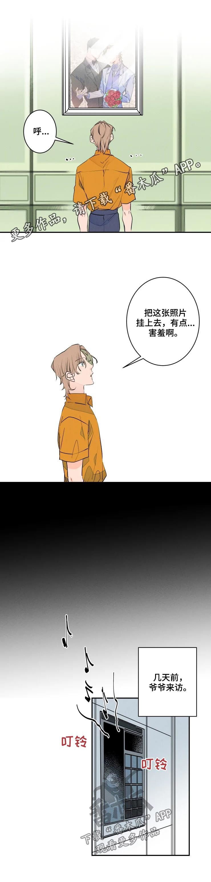 第51章：婚纱照