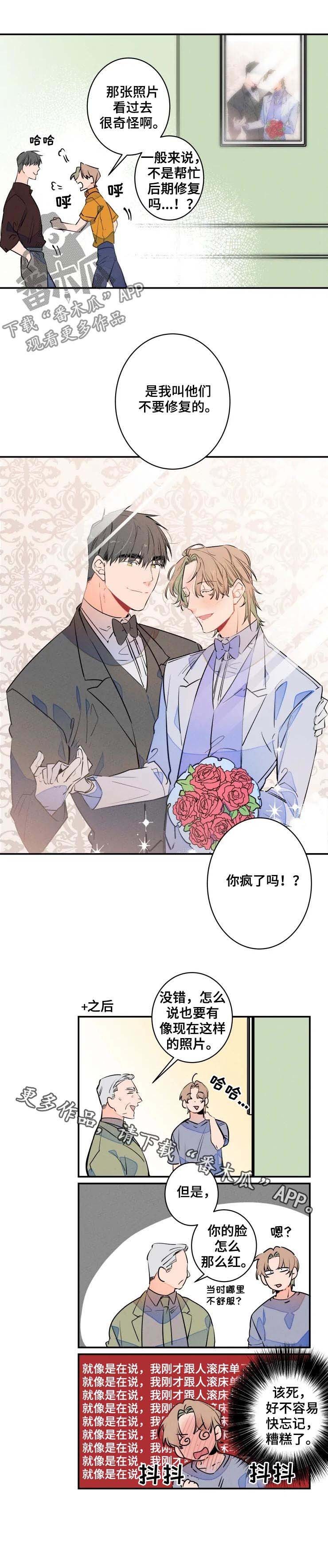 第52章：脸