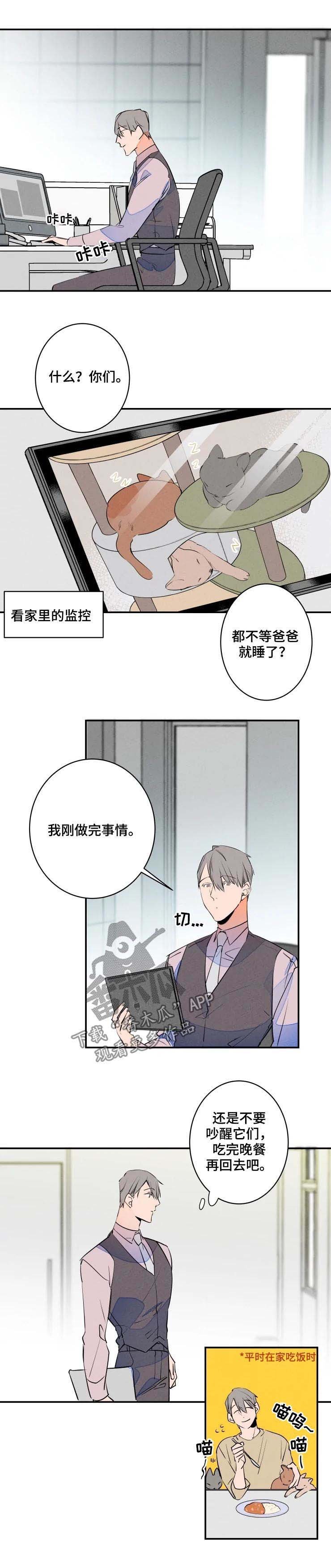 第53章：为什么会这么想
