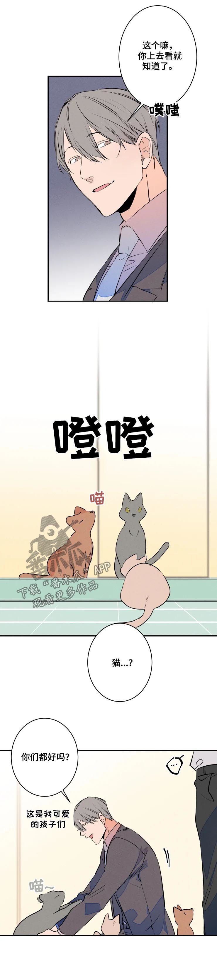 第55章：有妇之夫