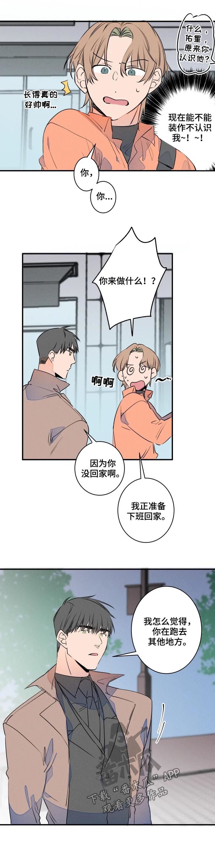 第60章：聚餐