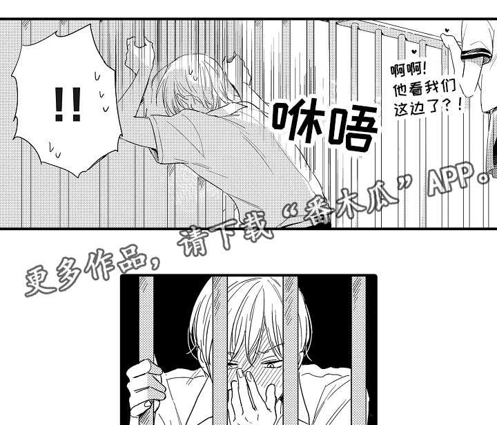 第16章：半吊子