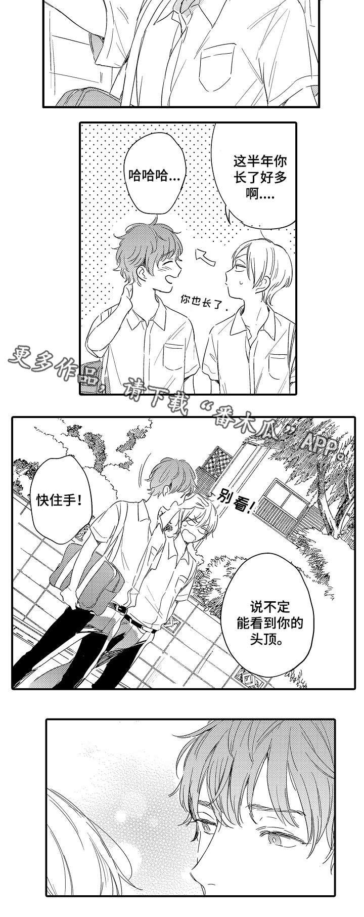 第4章：成长中的爱
