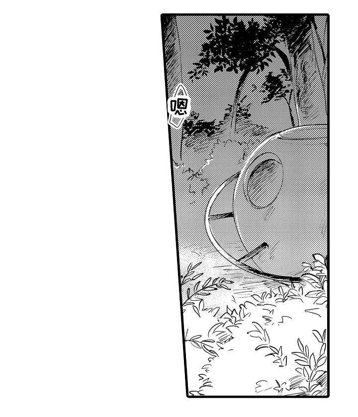 第41章：秘密