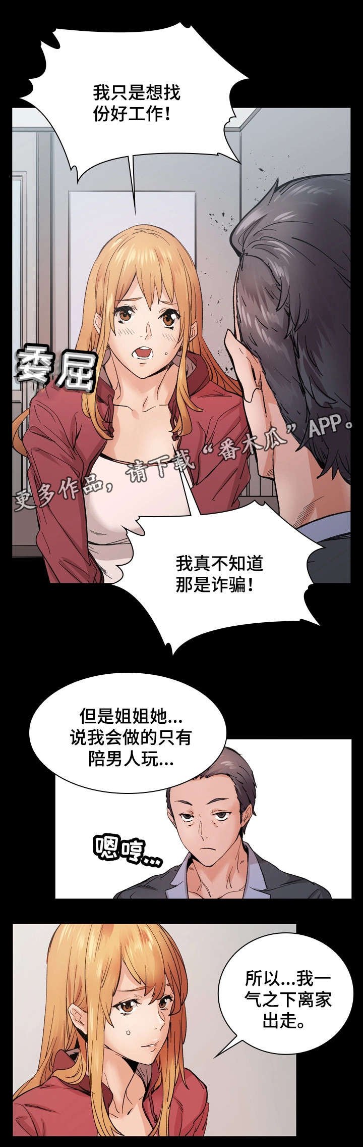 第17章：解释