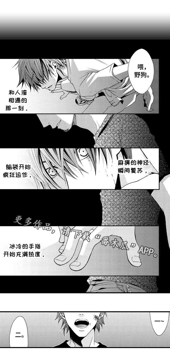 第13章：不同的体验