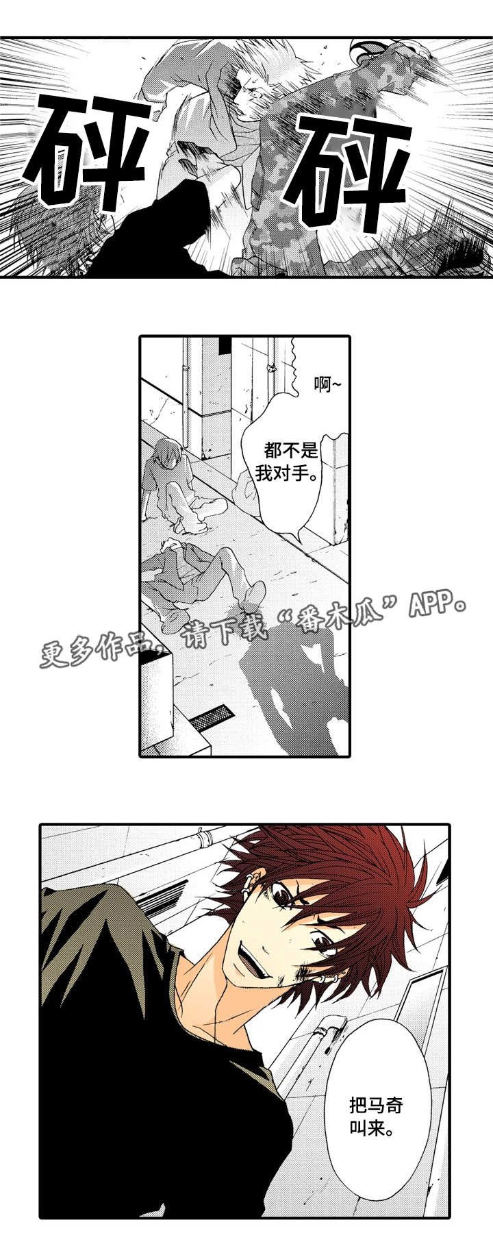 第13章：不同的体验