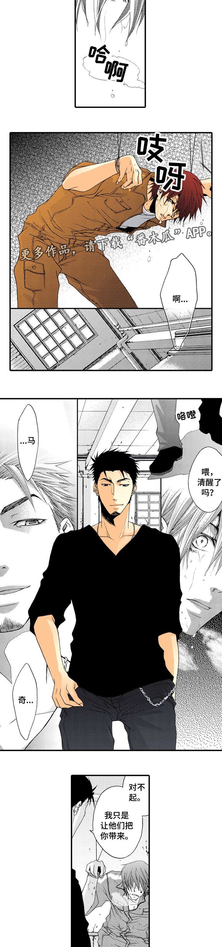 第14章：正面对决