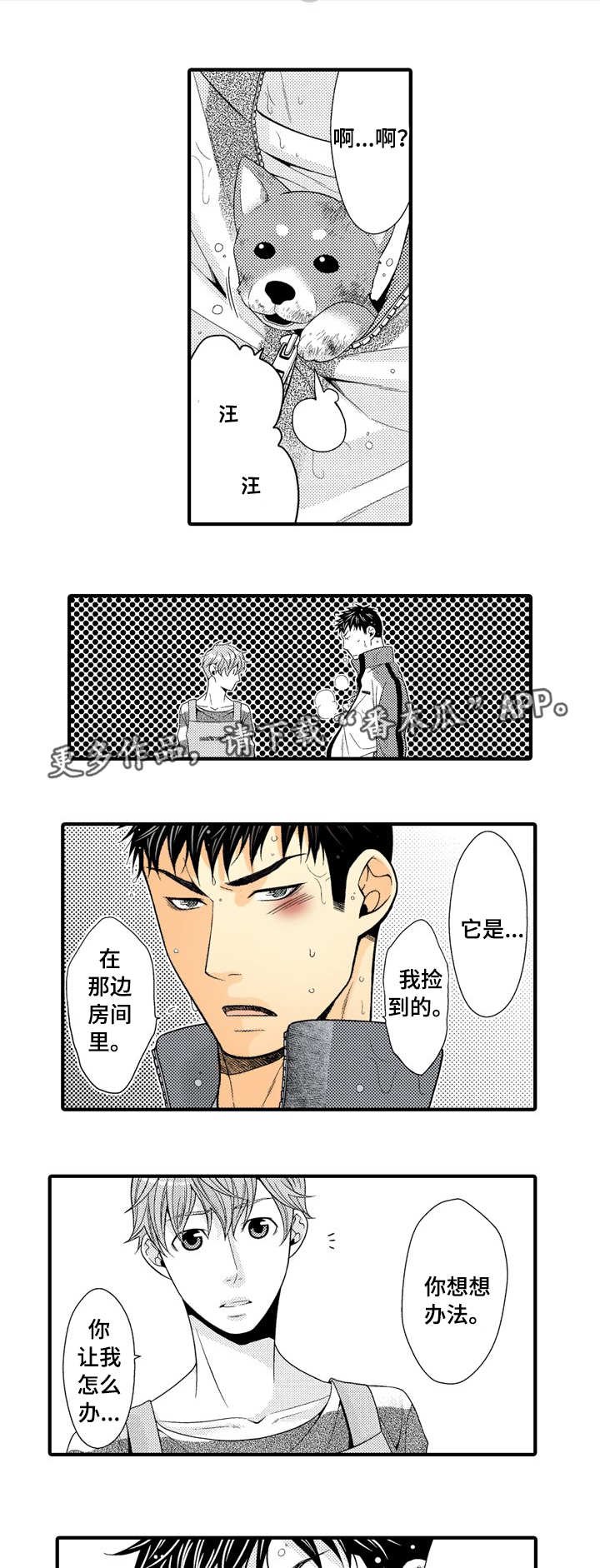 第16章：特殊的客人